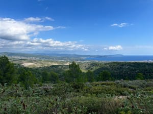 De kroon van Karel de Grote, in Cassis - Cédric - 3