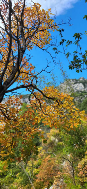 Sentier Martel Gorges du Verdon - NATHALIE - 9