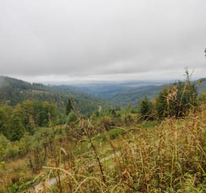 Beskid Żywiecki Polica przez Mosorny Groń i Hala Krupowa - Anna - 2