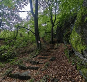 Szwendaczka po Ślęży - Sobótka - 3