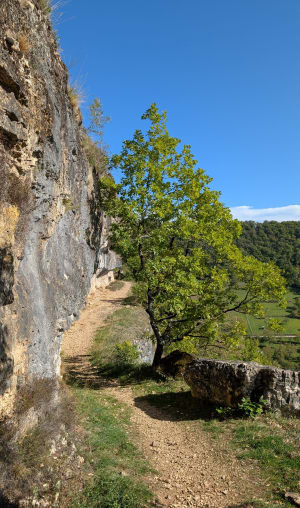 Sur les hauteurs de Fontcoussergues - elise - 2