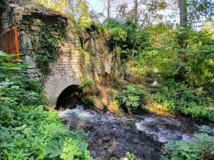 Du moulin d'âne à Chantemerle, via le chemin des pêcheurs - Baptiste - 8
