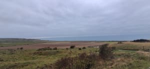 Sortie au Cap Blanc Nez - Marjorie - 6