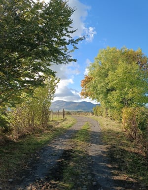 Balade champêtre dans la vallée de Courbanges - Guillaume dudu - 4