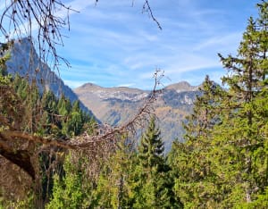 La Tannaz et le Grand-Bornand - Patrice - 6