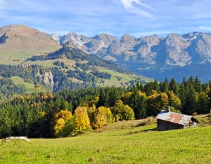 La Tannaz et le Grand-Bornand - Patrice - 7