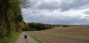 Balade dans les champs d'Ailly sur Somme - Nathalie - 4