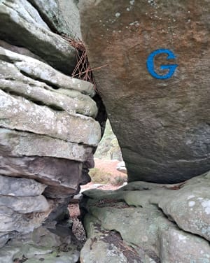 Chemin de randonnée du Rocher d'Avon, numéro 10 de Fontainebleau - Pascale - 9