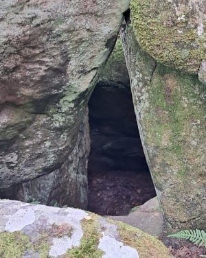 Chemin de randonnée du Rocher d'Avon, numéro 10 de Fontainebleau - Pascale - 7