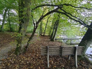 Marche ensoleillé au camping 《le refuge des pêcheurs》 - MICHELE - 4