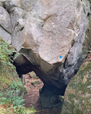 Chemin de randonnée du Rocher d'Avon, numéro 10 de Fontainebleau - Pascale - 6