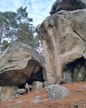 Chemin de randonnée du Rocher d'Avon, numéro 10 de Fontainebleau - Pascale - 8