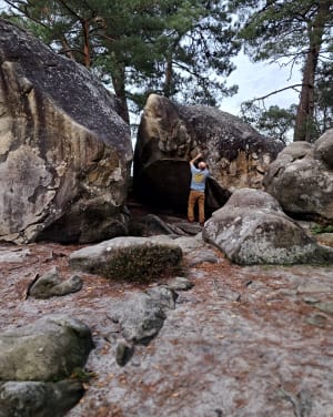 Chemin de randonnée du Rocher d'Avon, numéro 10 de Fontainebleau - Pascale - 10