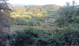Au pied du Pié à pied et paysage bucolique - didier - 2