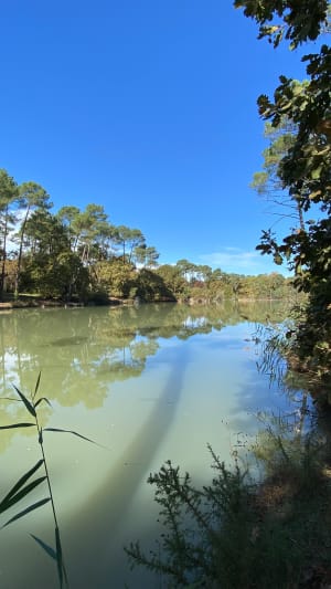 Balade aux sources de Cestas et lac de Monsalut - Audrey - 9