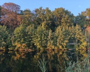 Les quais de Sèvres - gaelle - 5