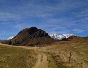 Le signal par le col de Lezette et le Mont Clocher - MARTINE - 7