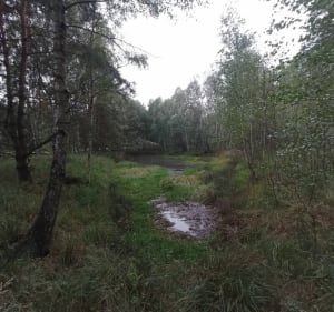 Miejsce odpoczynku Wiewiórka - Schodnia - Schodnia - 2
