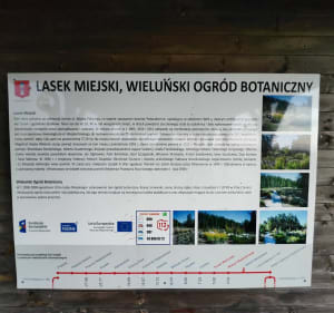 Śladem wieluńskiej kolejki wąskotorowej - Paweł - 2
