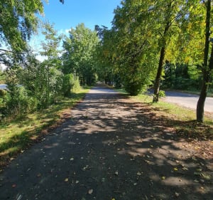 Pętla Jezioro Skorochów do Otmuchowska Nysa - Nysa - 3