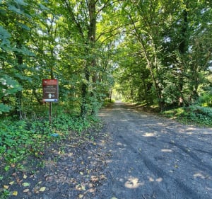 Pętla Jezioro Skorochów do Otmuchowska Nysa - Nysa - 4