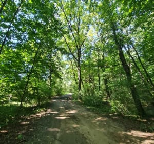 Pętla Jezioro Skorochów do Otmuchowska Nysa - Nysa - 5