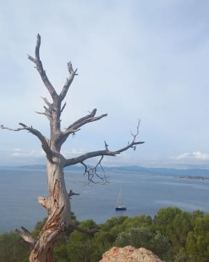 Sentier du littoral à Dramont - Laurence - 6