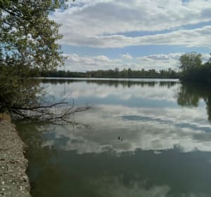 La tranquillité en zone urbaine au lac de Lamartine - dominique - 2