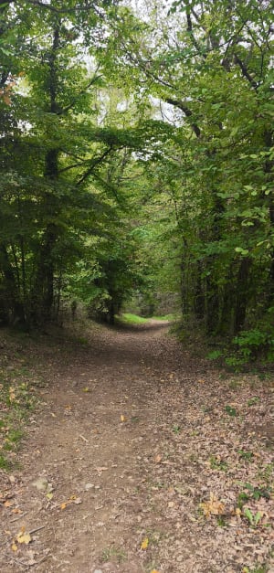 Boucle de la ferme des Reaux - Germain - 2