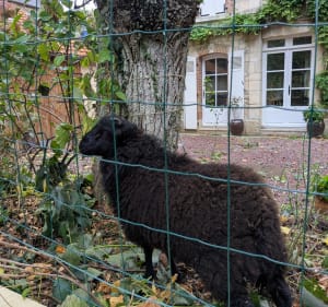 Mouen et ses alentours - Ingrid - 5