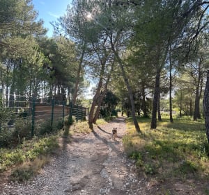 Balade à travers la garrigue de Teyran - Ludivine - 3