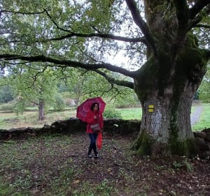 Labcacheroute Arboretum - Patric - 5