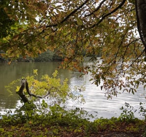 Randonnée des 2 amants à Amfreville-sous-les-Monts - eric - 3