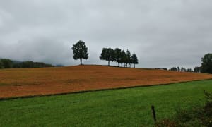 Tour du Voerle - William - 4