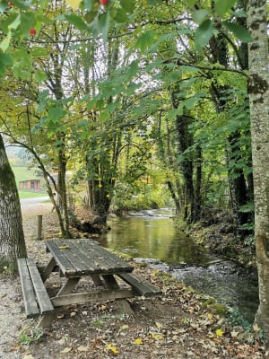 Promenade à la cascade des Tufs et petite source de la Cuisance - Les Planches-prés-Arbois - 11