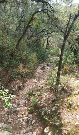 Entre Les Taillades et le. pied du Luberon . - Steven - 5