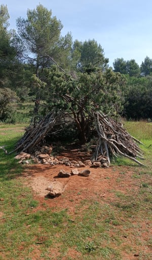 Entre Les Taillades et le. pied du Luberon . - Steven - 3