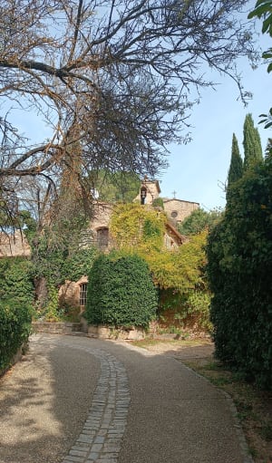 Entre Les Taillades et le. pied du Luberon . - Steven - 4