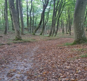 Ruiny Bunkra i Lezyce - Piotr - 3