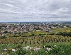 Boucle familiale jusqu'au parcours de santé de Nuits-Saint-Georges - Brice - 5