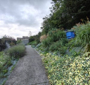 Balade à Publier dans le Bois Fleuret - Nadege - 4