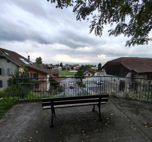 Balade à Publier dans le Bois Fleuret - Nadege - 3