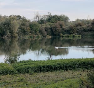 Petite marche autour de l'Etang du Vignoble - Caroline - 2