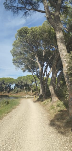 Le Somail, au canal de Jonction - Sylvette - 6
