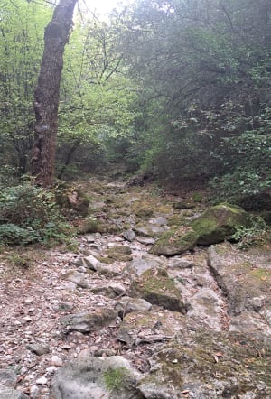 Petite boucle des Nayes - Evelyne - 3