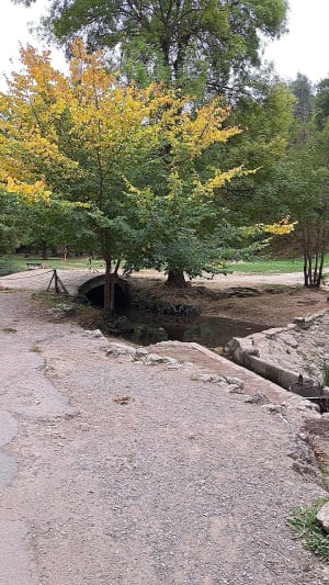 Petite boucle des Nayes - Evelyne - 4