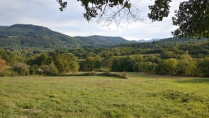 Balade autour de Ceilhes-et-Rocozels et bain de fraîcheur - stephanie - 5