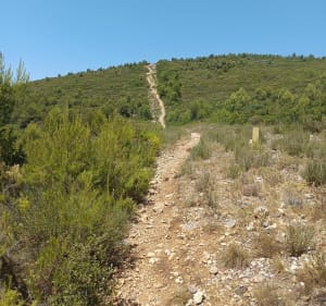 Rando boucle à partir de La Bourdonnière - Regis - 2