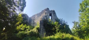 Château de Vaulgrenant - Sandy - 2