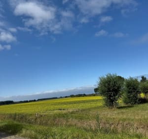 Boucle Cadzand-Sluis - ourdia - 5